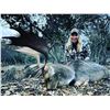 Image 2 : SAFARI INTL: 5-Day/5-Night Fallow-Roe Hunt for One Hunter-One NH in Macedonia - Includes Trophy Fees