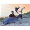 Image 3 : SAFARI INTL: 5-Day/5-Night Fallow-Roe Hunt for One Hunter-One NH in Macedonia - Includes Trophy Fees