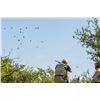 Image 3 : DAVID DENIES: 3-Day/4-Night High-Volume Dove Hunt for Eight (8) Hunters in Uruguay