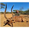 Image 1 : AFRICA MAXIMUM: 8-Day Spiral Horn Safari for Two Hunters-Two NH in South Africa-Includes Trophy Fees