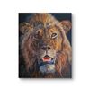 Image 1 : DAWIE FOURIE: Original Mixed Media Painting on Canvas by South Africa Artist Dawie Fourie