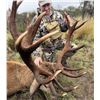 Image 1 : ESTANCIA EL CARRIZAL: 5-Day Blackbuck-Red Stag Hunt for Two Hunters in Argentina - Includes Trophy F