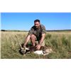 Image 3 : ESTANCIA EL CARRIZAL: 5-Day Blackbuck-Red Stag Hunt for Two Hunters in Argentina - Includes Trophy F