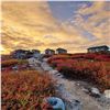 Image 2 : CANADIAN WILDLIFE: 6-Day/5-Night Fishing Adventure for Two Anglers in Canada
