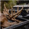 Image 2 : VARA RANCH: 3-Day/2-Night Whitetail Deer Hunt for One Hunter in Texas - Includes Trophy Fee