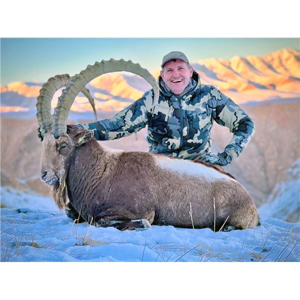PROFIHUNT: 7-Day Mid-Asian Ibex Hunt for One Hunter in Kyrgyzstan - Includes Trophy Fee