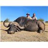 Image 1 : EPIC HUNTING: 10-Day Buffalo Safari for Two Hunters -One NH in SA-Includes Trophy Fees