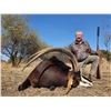 Image 1 : JANNIE OTTO: 7-Day/8-Night Roan-Sable Hunt for Two Hunters in South Africa - Includes Trophy Fees