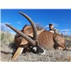 Image 2 : JANNIE OTTO: 7-Day/8-Night Roan-Sable Hunt for Two Hunters in South Africa - Includes Trophy Fees