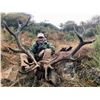 Image 1 : EUROHUNTS: 4-Day Stag Hunt for Two Hunters-Two NHs in Spain - Includes Trophy Fees