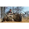 Image 1 : QUAGGA: 7-Day/8-Night Plains Game Safari for Three Hunters in South Africa - Includes Trophy Fees