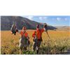 Image 4 : HIGHLAND HILLS: 2-Day/3-Night Upland Wingshooting Hunt for Two Hunters in Oregon