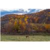 Image 3 : BATTENKILL: 3-Day/2-Night Whitetail Deer Hunt for One Hunter-One NH in New York - Includes Whitetail