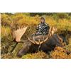 Image 1 : BEAR RIVER OUTFITTERS: 7-Day Moose Hunt for One Hunter in Alaska - Includes Trophy Fee