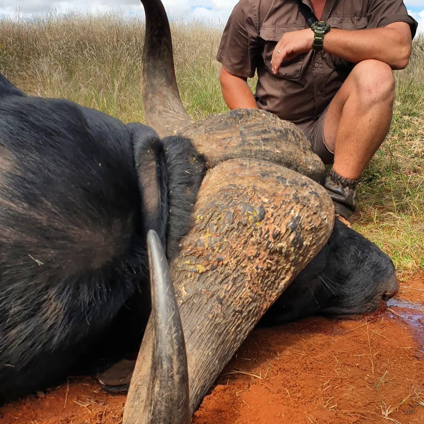 FIELD ETHOS: Rigby X Field Ethos Rogue Rifle and 7-Day African Safari ...