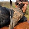 Image 2 : FIELD ETHOS: Rigby X Field Ethos Rogue Rifle and 7-Day African Safari with DON JR.