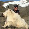 Image 2 : FEJES GUIDE SERVICE: 10-Day Mtn Goat-Black Bear Hunt for One Hunter in Alaska - Includes Trophy Fees