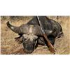 Image 1 : GANAM: 14-Day/15-Night Leopard, Cape Buffalo and Plains Game Safari for One Hunter in Tanzania