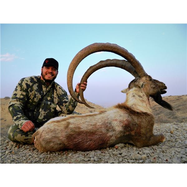 Pakistan Hunter CAPRINAE: 3-Day/4-Night Sindh Ibex Hunt for One Hunter in Pakistan ...