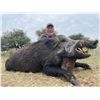 Image 2 : TGB OUTFITTERS: 7-Day/7-Night Big Game Hunt for Four Hunters in Argentina - Includes Trophy Fees