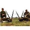 Image 3 : TGB OUTFITTERS: 7-Day/7-Night Big Game Hunt for Four Hunters in Argentina - Includes Trophy Fees