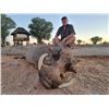 Image 1 : DE KLERK: 7-Day/7-Night Plains Game Safari for Four Hunters in South Africa - Includes Trophy Fees