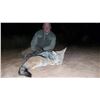 Image 2 : DE KLERK: 7-Day/7-Night Plains Game Safari for Four Hunters in South Africa - Includes Trophy Fees