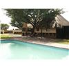 Image 3 : DE KLERK: 7-Day/7-Night Plains Game Safari for Four Hunters in South Africa - Includes Trophy Fees