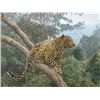 Image 1 : RUSSELL & MARY EDITH: “The Solitary Hunter” - S/N Framed Leopard Giclee