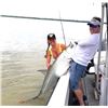 Image 1 : SILVER KING: 3-Day/3-Night Tarpon Fishing Adventure for One Angler in Costa Rica