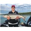 Image 1 : ALASKA FISHCATCHER: 2-Day/3-Night Fishing Adventure for Two Anglers in Alaska