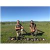 Image 1 : CAPE TOWN HUNTS: 2-Day/2-Night Game Bird Hunt for One Hunter and One NH in South Africa