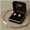 Image 1 : AFRICAN ELEPHANT HAIR: 14K Gold Fill Necklace with CZs and Matching Earrings