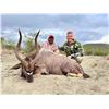 Image 1 : CRUSADER: 8-Day Plains Game Safari for One Hunter-One NH in S. Africa - Includes Trophy Fees