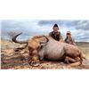 Image 1 : BRAESIDE: 7-Day Plains Game Safari for One Hunter - One NH in South Africa - Includes Trophy Fees