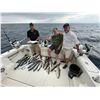Image 1 : TERRA INCOGNITA: 2-Day/2-Night Fishing and Touring Adventure for Three in Illinois