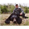 Image 1 : LINEHAN: 5-Day Black Bear Hunt for One Hunter in Montana - Includes Best Available Bear