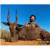 Image 1 : NUMZAAN: 8-Day Plains Game Hunt for Two Hunters in South Africa-Includes Trophy Fees & MORE!