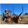 Image 1 : KUCHE: 5-Day Plains Game Safari For Four Hunters in South Africa - Includes Trophy Fees
