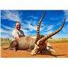 Image 1 : LIAM URRY: 8-Day Plains Game Safari for Four Hunters in South Africa - Includes Trophy Credit