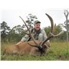 Image 1 : KINGHAM SAFARIS: 3-Day Moluccan Rusa Hunt for One Hunter in Australia - Includes Trophy Fee