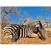 Image 1 : INTREPID: 7-Day/7-Night Plains Game Safari for Two Hunters in South Africa - Includes Trophy Fees