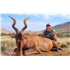 Image 1 : WORMALD: 10-Day Plains Game Safari for One Hunter-One NH in South Africa - Includes Trophy Fees