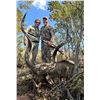 Image 1 : PIERRE VAN TONDER: 6-Day  Plains Game Safari for One Hunter-One NH in South Africa-Includes Trophies