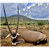 Image 1 : JKO  HUNTING: 5-Day/6-Night Plains Game Safari for Two Hunters in S. Africa - Includes Trophy Credit