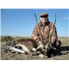 Image 1 : CERRO INDIO: 5-Day Blackbuck Hunt for Two Hunters in Argentina - Includes Trophy Fees
