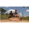 Image 1 : VAN WIJK: 12-Day Plains Game Safari for One Hunter-One NH in South Africa - Includes Trophy Fees