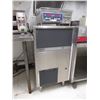 Image 1 : MACHINE À GLACE BREMA 20" X 23" X 37"