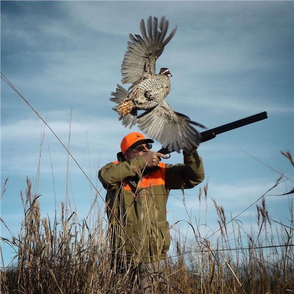 Quail hunt at Prairie Wildlife for 2 days for 2 hunters