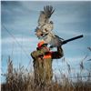 Image 1 : Quail hunt at Prairie Wildlife for 2 days for 2 hunters